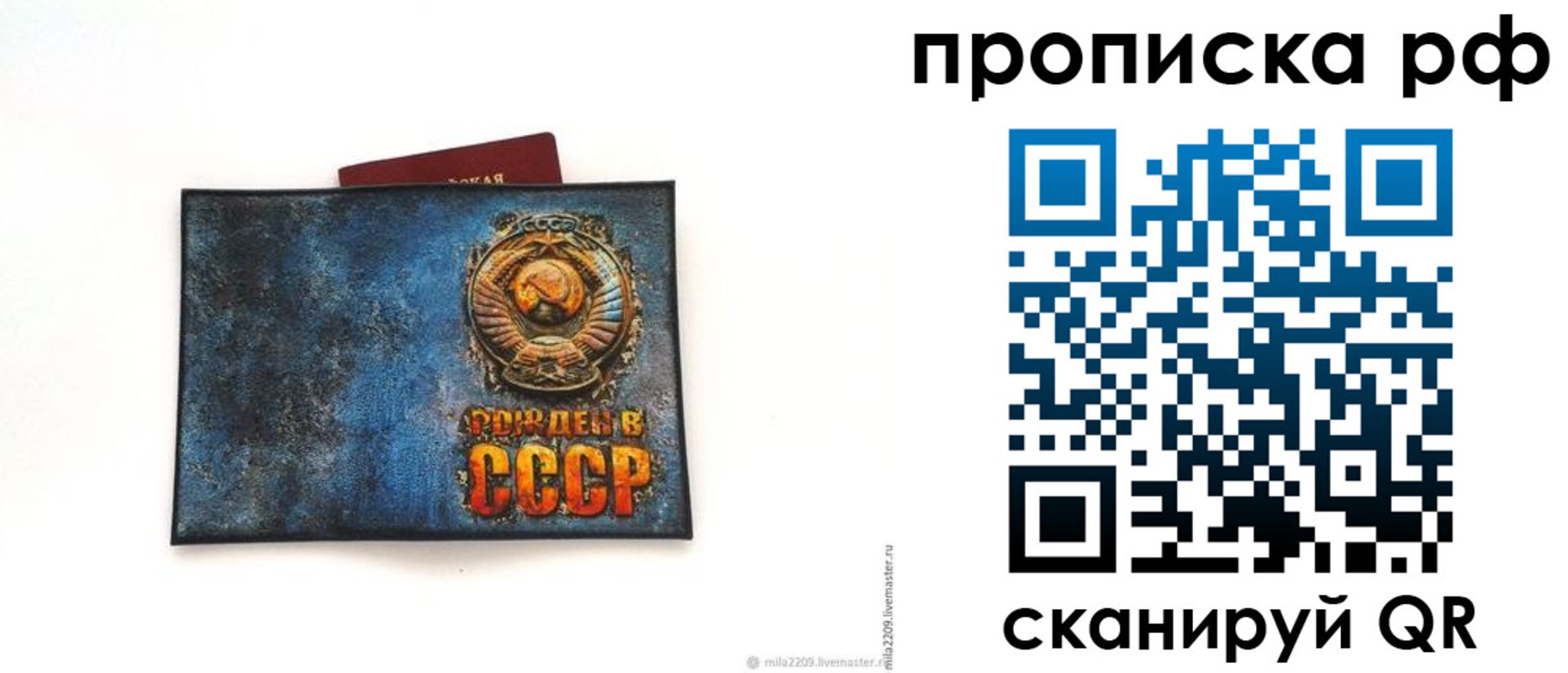 прописка гарантия в Краснокаменске